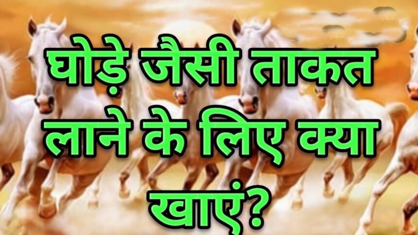 ये पौष्टिक सब्जी फौलादी बॉडी के साथ देगी घोड़े जैसी फुर्ती, डाइट में करे शामिल शरीर में दिखेंगे गजब के फायदे,